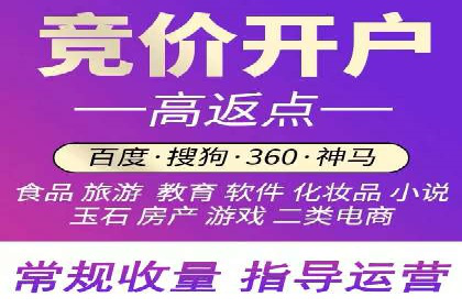 SEM服务公司助力企业国际化案例